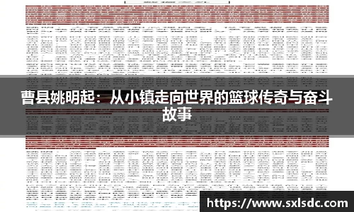 必一运动b-sports官网